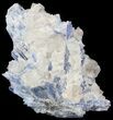 Kyanite Crystals with Quartz - Brazil #44991-1